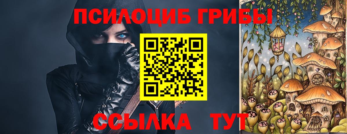 Галлюциногенные грибы мицелий  Вход с VPN  Гурьевск 